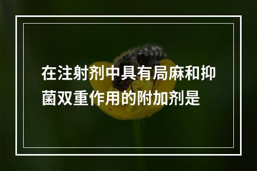 在注射剂中具有局麻和抑菌双重作用的附加剂是