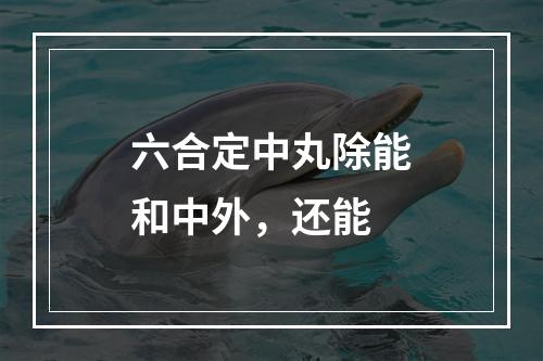 六合定中丸除能和中外，还能