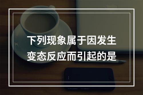 下列现象属于因发生变态反应而引起的是