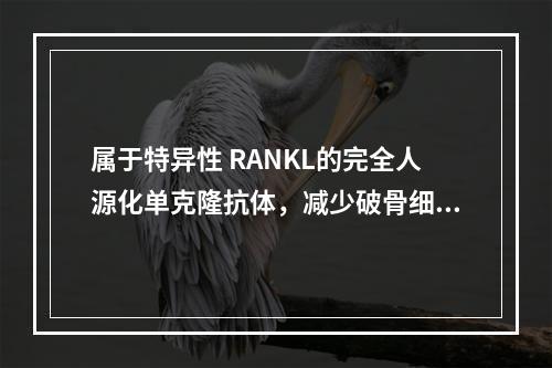 属于特异性 RANKL的完全人源化单克隆抗体，减少破骨细胞形