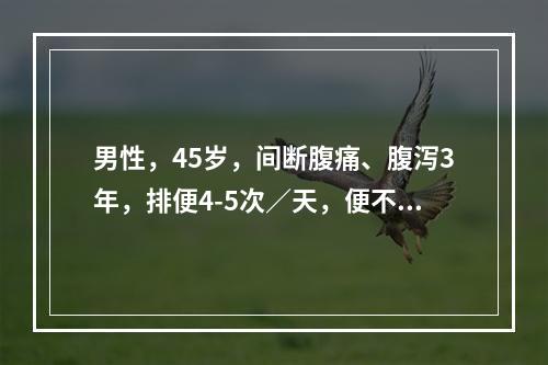 男性，45岁，间断腹痛、腹泻3年，排便4-5次／天，便不成形