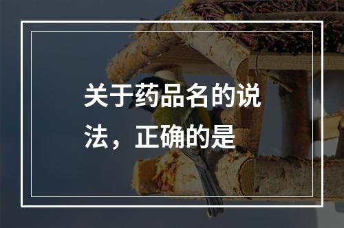 关于药品名的说法，正确的是