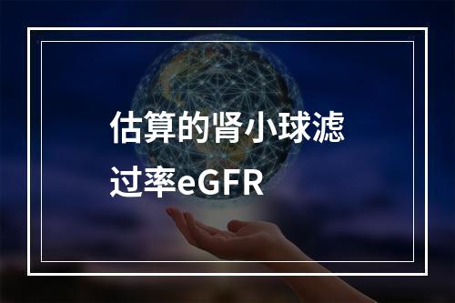 估算的肾小球滤过率eGFR