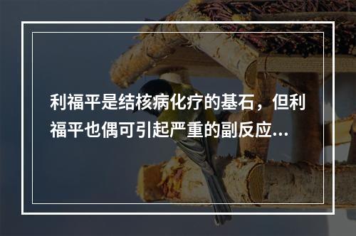 利福平是结核病化疗的基石，但利福平也偶可引起严重的副反应，应