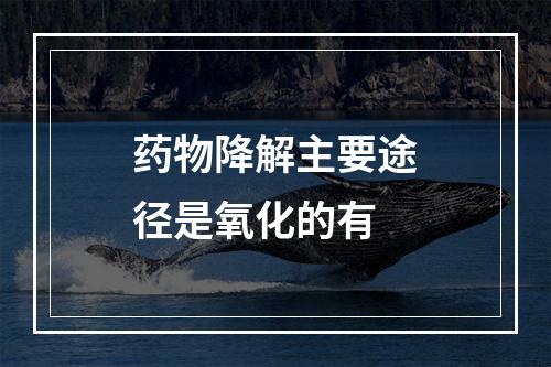 药物降解主要途径是氧化的有