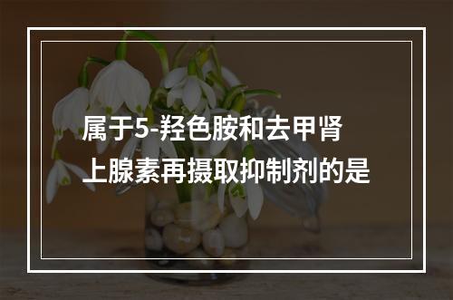 属于5-羟色胺和去甲肾上腺素再摄取抑制剂的是