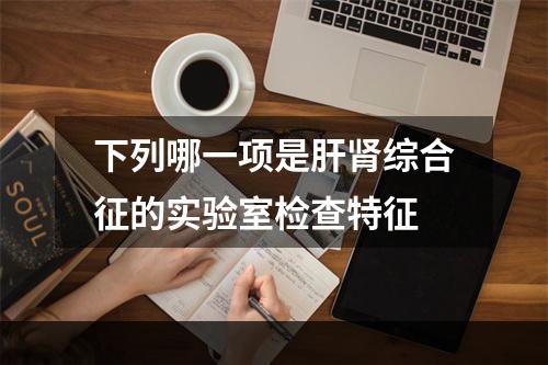 下列哪一项是肝肾综合征的实验室检查特征