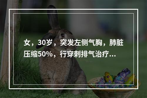 女，30岁，突发左侧气胸，肺脏压缩50%，行穿刺排气治疗，抽