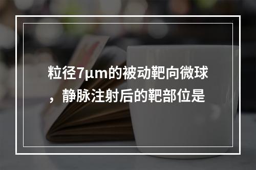 粒径7μm的被动靶向微球，静脉注射后的靶部位是