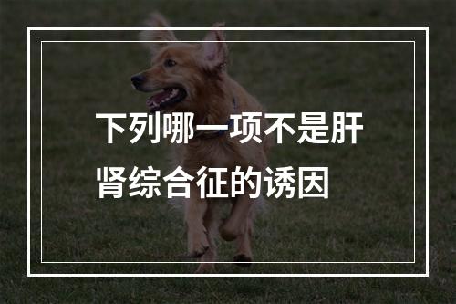 下列哪一项不是肝肾综合征的诱因