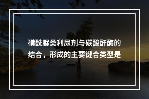 磺酰脲类利尿剂与碳酸酐酶的结合，形成的主要键合类型是