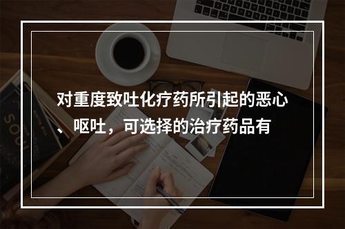 对重度致吐化疗药所引起的恶心、呕吐，可选择的治疗药品有