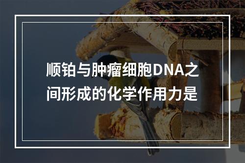 顺铂与肿瘤细胞DNA之间形成的化学作用力是