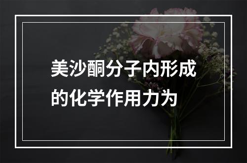 美沙酮分子内形成的化学作用力为