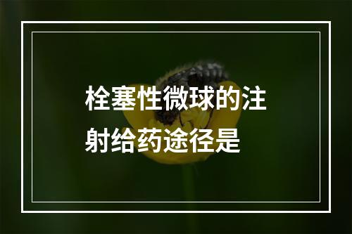 栓塞性微球的注射给药途径是