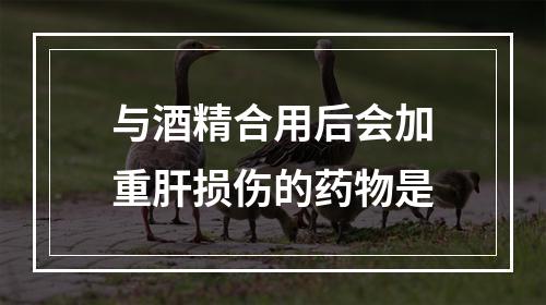 与酒精合用后会加重肝损伤的药物是