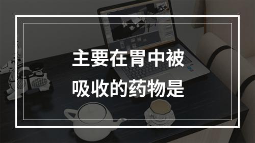 主要在胃中被吸收的药物是