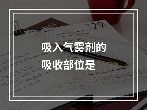 吸入气雾剂的吸收部位是