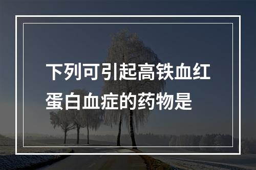 下列可引起高铁血红蛋白血症的药物是