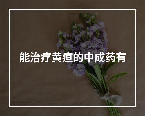 能治疗黄疸的中成药有