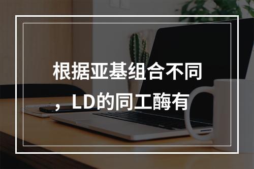 根据亚基组合不同，LD的同工酶有