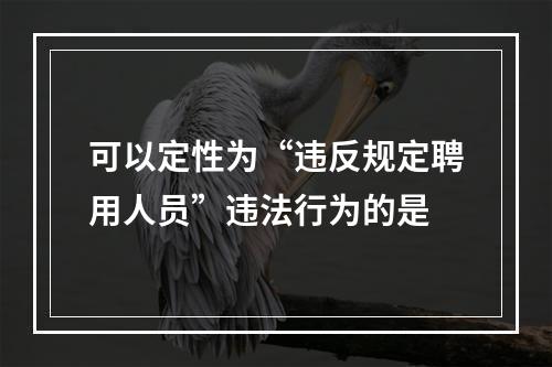 可以定性为“违反规定聘用人员”违法行为的是