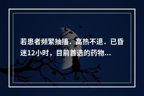 若患者频繁抽搐．高热不退．已昏迷12小时，目前首选的药物是