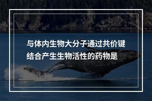 与体内生物大分子通过共价键结合产生生物活性的药物是