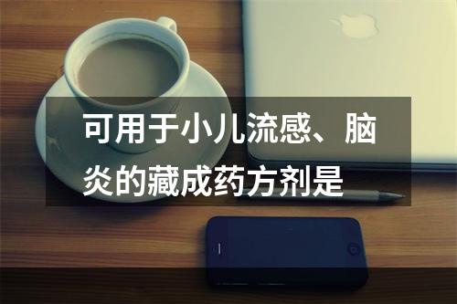 可用于小儿流感、脑炎的藏成药方剂是