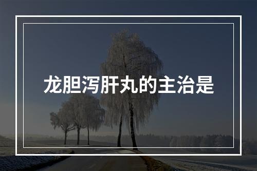 龙胆泻肝丸的主治是