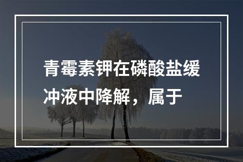 青霉素钾在磷酸盐缓冲液中降解，属于