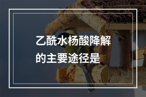 乙酰水杨酸降解的主要途径是