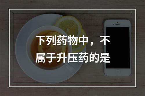 下列药物中，不属于升压药的是