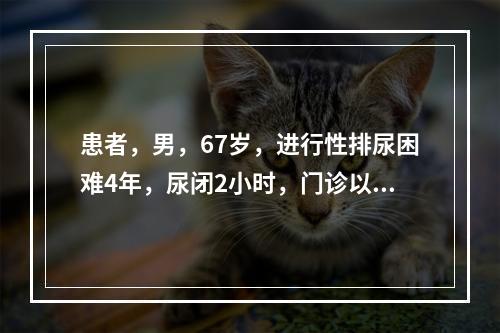 患者，男，67岁，进行性排尿困难4年，尿闭2小时，门诊以急