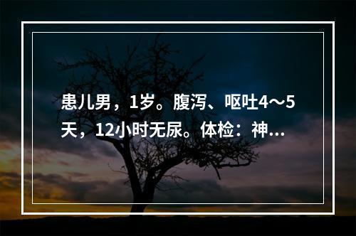 患儿男，1岁。腹泻、呕吐4～5天，12小时无尿。体检：神志模