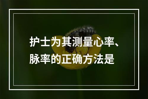 护士为其测量心率、脉率的正确方法是