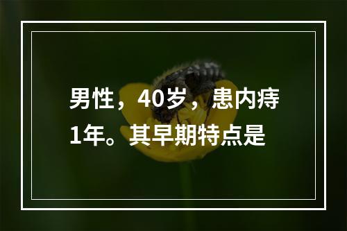 男性，40岁，患内痔1年。其早期特点是