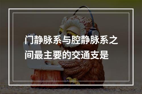 门静脉系与腔静脉系之间最主要的交通支是