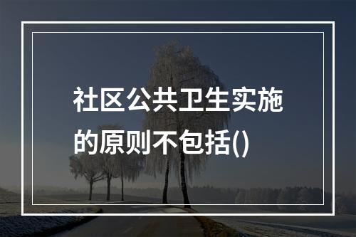 社区公共卫生实施的原则不包括()