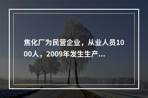 焦化厂为民营企业，从业人员1000人，2009年发生生产安全