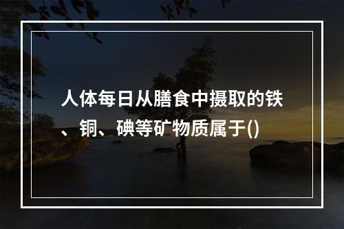 人体每日从膳食中摄取的铁、铜、碘等矿物质属于()