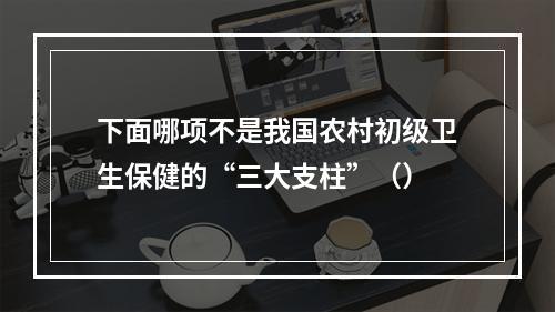 下面哪项不是我国农村初级卫生保健的“三大支柱”（）