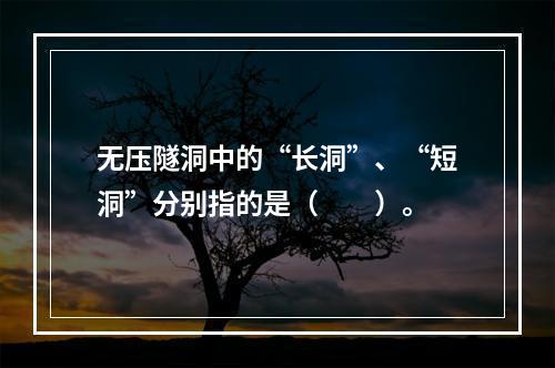 无压隧洞中的“长洞”、“短洞”分别指的是（　　）。