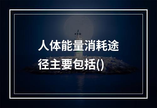 人体能量消耗途径主要包括()