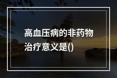 高血压病的非药物治疗意义是()