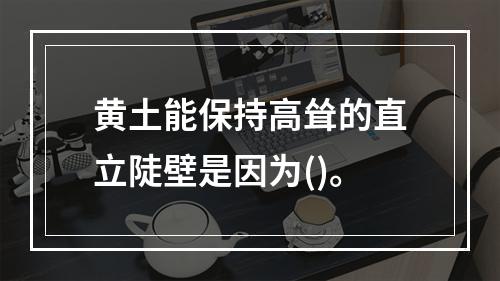 黄土能保持高耸的直立陡壁是因为()。