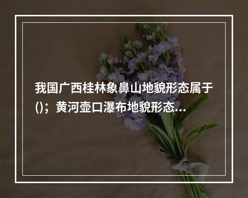 我国广西桂林象鼻山地貌形态属于()；黄河壶口瀑布地貌形态属于