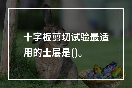 十字板剪切试验最适用的土层是()。