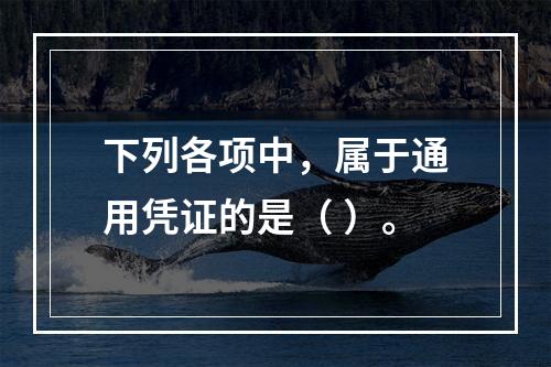 下列各项中，属于通用凭证的是（ ）。