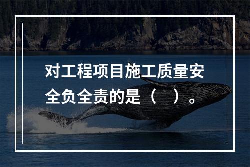 对工程项目施工质量安全负全责的是（　）。